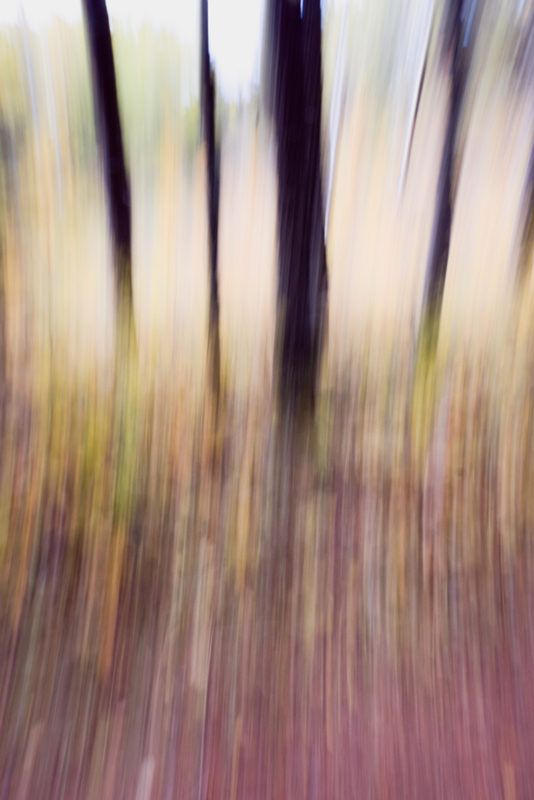 Reeds by Doug Derksen